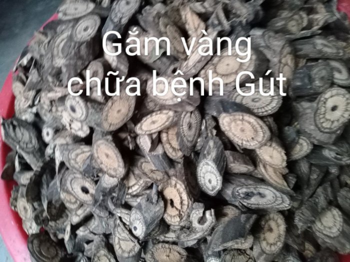 Cao dây gắm