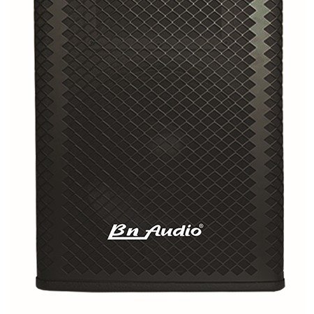 Loa Hàn Quốc BN Audio BA-1000V chuyên karaoke phòng lớn0
