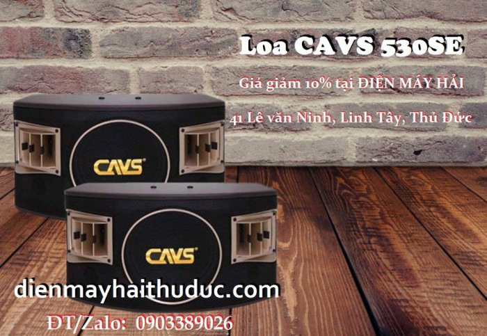Loa CAVS 530SE giảm giá đến 10% bán tại Điện Máy Hải Thủ Đức5