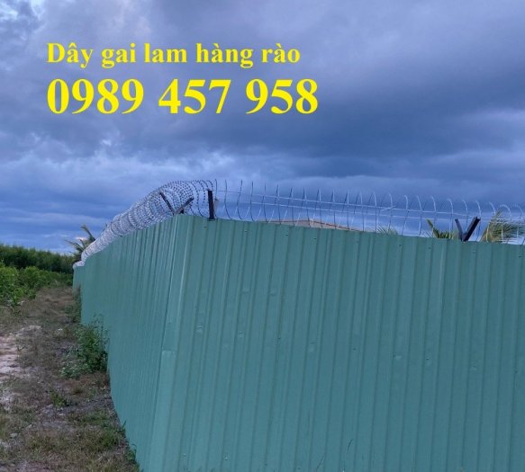 Dây thép gai hình dao 45cm, Dây kẽm gai Nam Định10