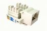 Nhân mạng RJ45 amp, nhân thoại sino RJ45, nhân amp RJ45