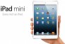 Mới Về 1 Lô Ipad Mini 16g 4g + Wifi New Seal Full Box , Giá Sỉ Cho Cửa Hàng.
