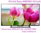 Không thể bỏ qua Sony 48R550C, Tivi led Sony KDL-48R550C 48 inch  giá tốt.