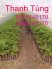 Trung Tâm Giống Cây Trồng Dược Liệu