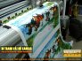 In tranh Tết 2019 | Mã Đáo Thành Công | Phúc Lộc Thọ