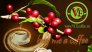 Cần tìm đối tác phân phối cà phê hạt, cafe nguyên chất thương hiệu cà phê Vce Coffee
