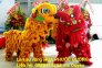 Múa lân khai trương _tổ chức sự kiện