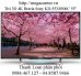 Mua ngay tivi Sony 55 inch 4K vừa về hàng, Smart Tv 3D Sony KD-55X8500C 55 inch