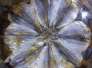 Khô cá chỉ vàng hoa mai nhà làm đảm bảo không hóa chất