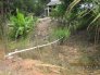 Cần bán đất thị trấn thạnh hóa