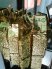 Chú ý! Chú ý! Đặc sản Trà xanh làng Bát Tuyên Quang đã có mặt tại trên thị trường!