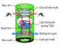 Địa chỉ bán buôn Đèn bắt muỗi hình nấm tại hà nội