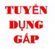 Tuyển Nhân Viên Làm Việc Tại Nhà 2-3h/Ngày Lương Cao 6-10tr/Tháng