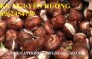 Chuyên cung cấp giống củ hoa dơn- hoa lay ơn