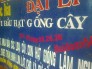 Chuyên bán hạt giống chất lượng xoan đào chính gốc tại Tuyên Quang