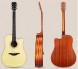 Đàn Guitar Acoustic REX RD1C-NM
