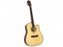 Đàn guitar acoustic Vines VA-4125N
