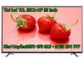 Sôi động hè 2016 với Smart TV TCL 55inch 55C1-UF,4K UHD, Android 5.1