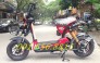 Bán xe điện Giant 133, xe điện Nijia, xe điện Xmen, xe điện zoomer-x..