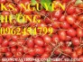 Chuyên cung cấp giống cây nhót ngọt