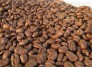 Cà phê Arabica rang nguyên hạt Loại 2-trên sàng 16
