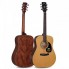Bán đàn Guitar Acoustic Cort AD810