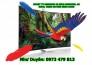 Hiện đại đến bất ngờ với Smart tivi cong Samsung 65 inch 65KS9000, 4K SUHD, HDR, TizenOS