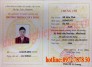 Khai giảng Lớp Xoa bóp bấm huyệt tại Hà Nội
