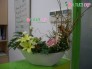 Mẫu Hoa Tươi Văn Phòng - VP024
