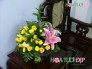 Hoa Văn Phòng Rẻ & Đẹp - VP030