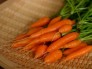 Chuyên cung cấp hạt giống cà rốt các loại chuẩn giống, uy tín, chất lượng