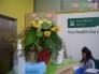 Hoa Văn Phòng Giá Rẻ - VP031
