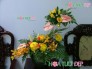 Hoa Tươi Văn Phòng - VP050