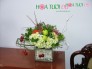 Mẫu Hoa Văn Phòng Đẹp & Rẻ - VP053