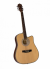 Đàn guitar acoustic Vines VA-4146N