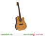 Đàn Guitar Acoustic SUNNY 1041
