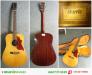 Đàn Guitar Acoustic Morris W15