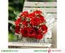 Bó 20 Bông Hoa Hồng Đỏ - CM016