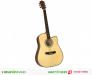 Đàn guitar acoustic Vines VA-4146N