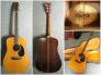 Đàn Guitar Acoustic Morris W-25