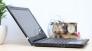 Laptop Dell 3442, i5 4210, 4G, 500G, 99%, zin 100%, giá rẻ
