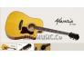 Đàn Guitar Acoustic Mantic AG620SC