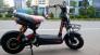 Xe bò điên thế hệ mới
