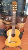 Guitar Matsouka M 40 Nhật