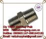 Kép hai đầu ren áp lực DN25 ( phi 34) A105 #3000