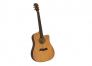Đàn Guitar Acoustic SUNNY 1041