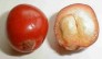 Cherry úc ( Cerda bay cherry )