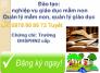 Đào tạo quản lý mầm non tại Nha Trang