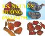 Bán Giống cây Hà Thủ Ô Đỏ số lượng lớn và sản phẩm Củ Hà Thủ Ô Đỏ