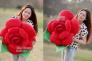 Qùa tặng gối ôm hình hoa hồng